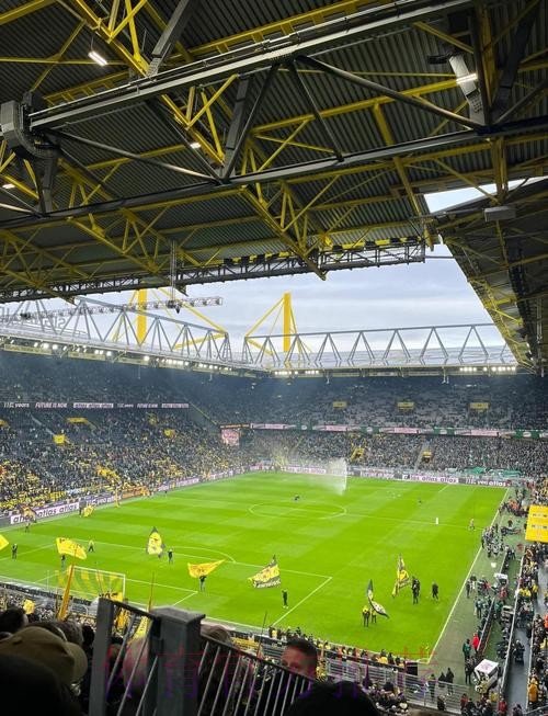 西媒:知情人称阿拉巴大概2周后重返球场训练 西媒:知情人称阿拉巴大概2周后重返球场训练